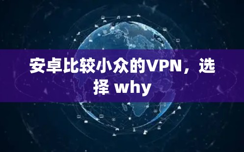 安卓比较小众的VPN，选择 why