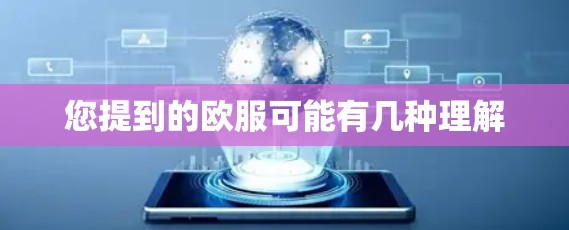您提到的欧服可能有几种理解