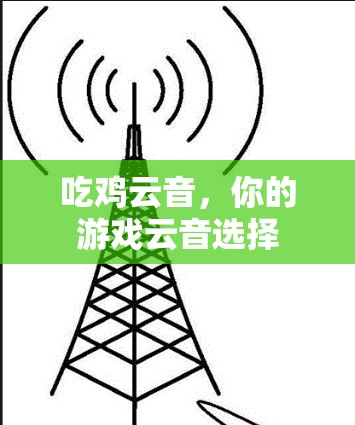 吃鸡云音，你的游戏云音选择