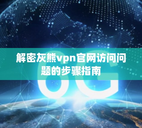 解密灰熊vpn官网访问问题的步骤指南