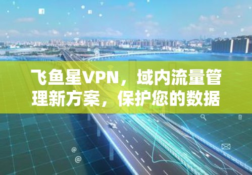 飞鱼星VPN，域内流量管理新方案，保护您的数据安全