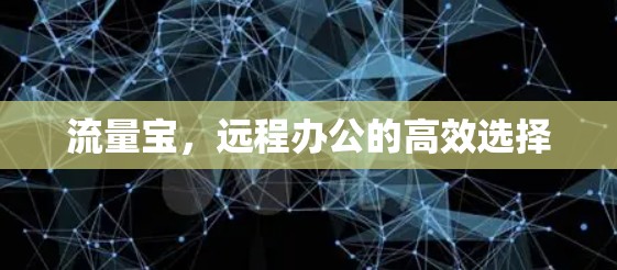 流量宝，远程办公的高效选择