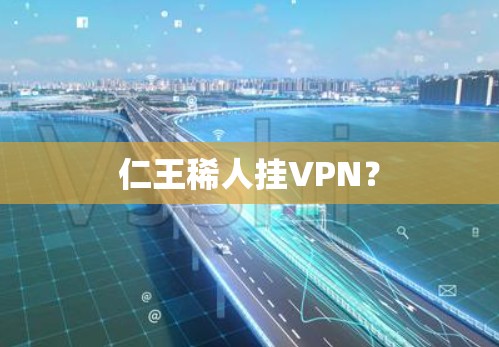 仁王稀人挂VPN？