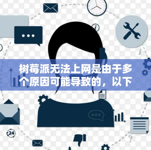树莓派无法上网是由于多个原因可能导致的，以下是一些可能的解决步骤