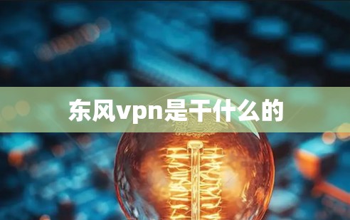 东风vpn是干什么的
