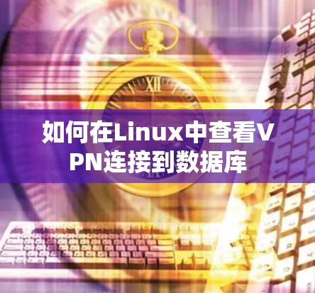 如何在Linux中查看VPN连接到数据库