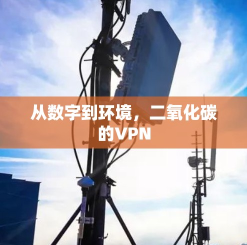 从数字到环境，二氧化碳的VPN