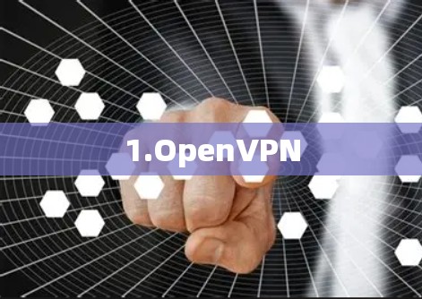 1.OpenVPN