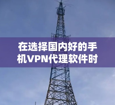 在选择国内好的手机VPN代理软件时，首先需要考虑自己的使用场景和需求，例如是否需要特定的安全协议、是否需要高速连接以及需要支持的设备类型。以下是一些国内知名VPN代理软件的推荐，涵盖了多种类型和特点