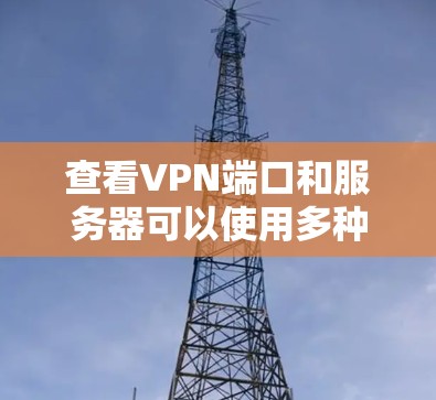 查看VPN端口和服务器可以使用多种工具，以下是一步步的指南