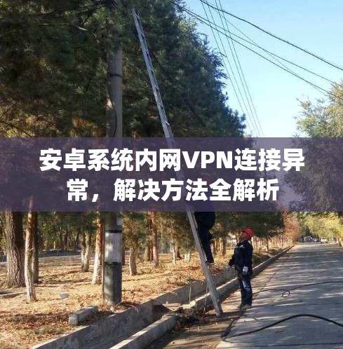安卓系统内网VPN连接异常，解决方法全解析