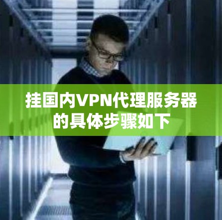 挂国内VPN代理服务器的具体步骤如下