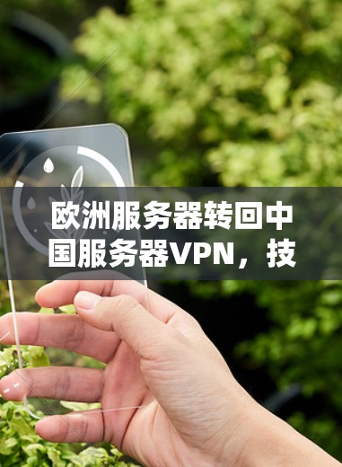 欧洲服务器转回中国服务器VPN，技术、经济与社会的双重影响及解决方案