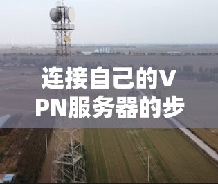 连接自己的VPN服务器的步骤如下