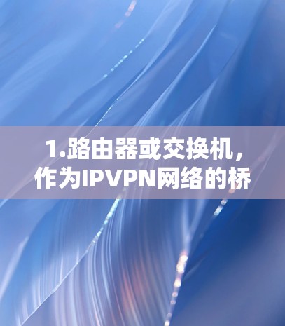 1.路由器或交换机，作为IPVPN网络的桥梁，这些设备需要与IPVPN设备进行通信，以将数据从一个网络转发到另一个网络