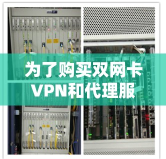 为了购买双网卡VPN和代理服务器用于负载均衡，以下是一个有条理和详细的解决方案