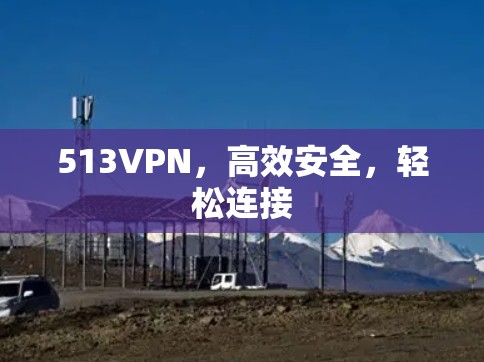 513VPN，高效安全，轻松连接