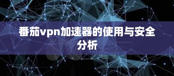 番茄vpn加速器的使用与安全分析
