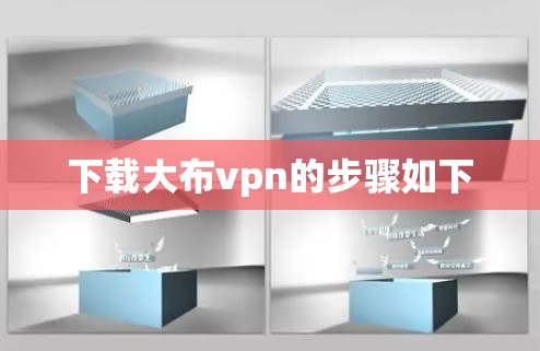 下载大布vpn的步骤如下