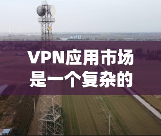VPN应用市场是一个复杂的系统，覆盖了从选择到使用多个步骤。以下是对VPN应用市场的详细分析