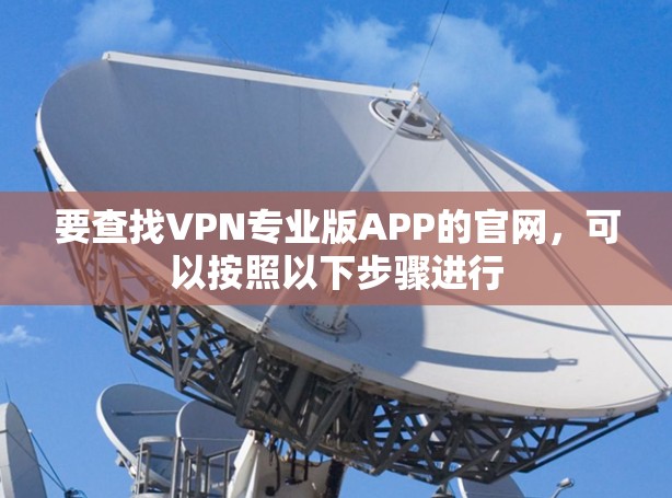 要查找VPN专业版APP的官网，可以按照以下步骤进行