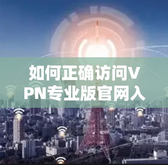 如何正确访问VPN专业版官网入口