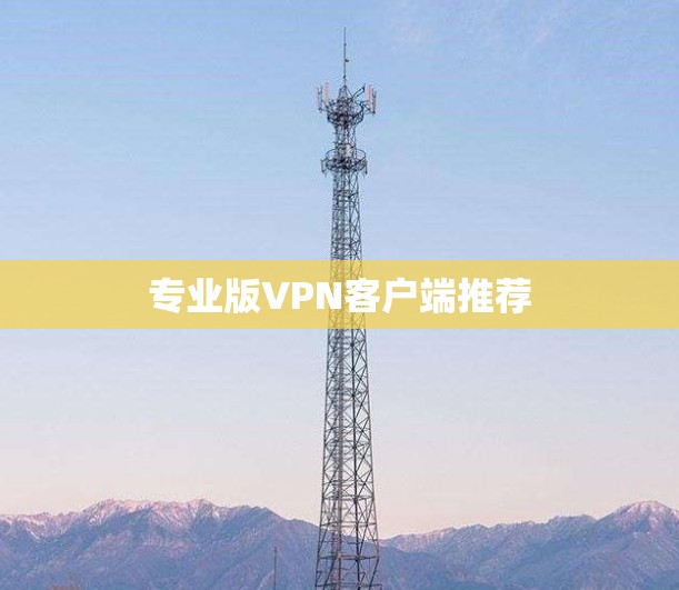 专业版VPN客户端推荐