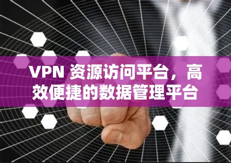 VPN 资源访问平台，高效便捷的数据管理平台