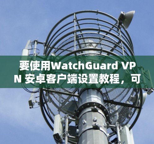 要使用WatchGuard VPN 安卓客户端设置教程，可以按照以下步骤进行