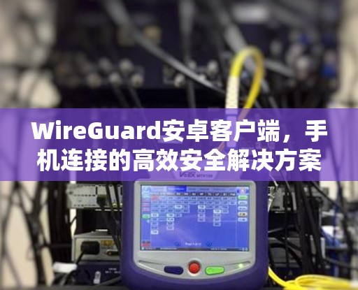 WireGuard安卓客户端，手机连接的高效安全解决方案