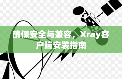 确保安全与兼容，Xray客户端安装指南