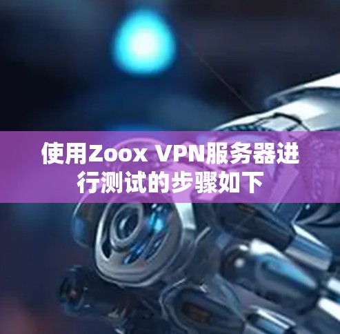 使用Zoox VPN服务器进行测试的步骤如下