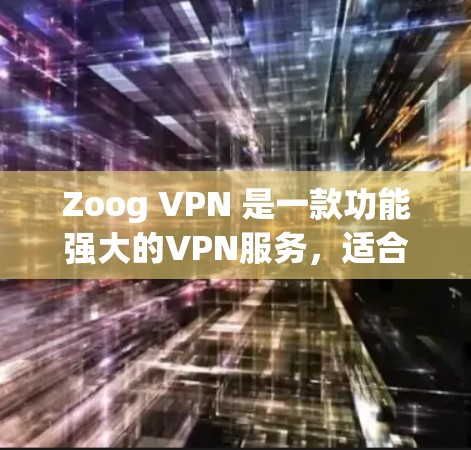Zoog VPN 是一款功能强大的VPN服务，适合喜欢加密视频、在线游戏、聊天、文件传输等场景的用户使用。以下是关于 Zoog VPN 的功能评测