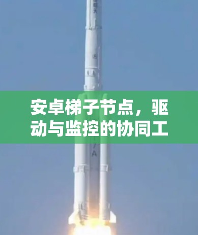安卓梯子节点，驱动与监控的协同工作