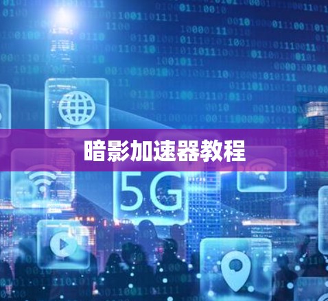 暗影加速器教程