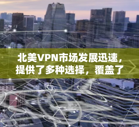 北美VPN市场发展迅速，提供了多种选择，覆盖了多个国家和地区。以下是对北美VPN的主要情况的总结