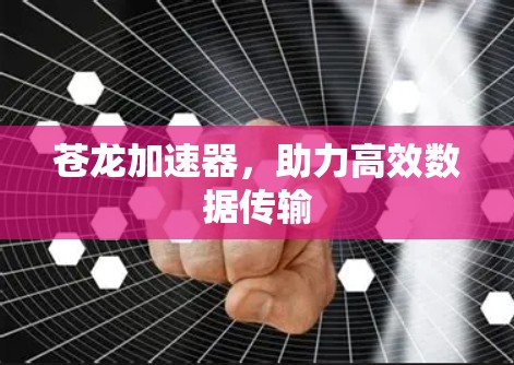 苍龙加速器，助力高效数据传输