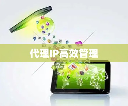 代理IP高效管理