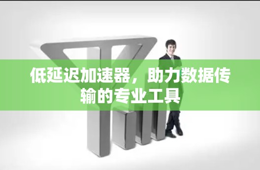 低延迟加速器，助力数据传输的专业工具