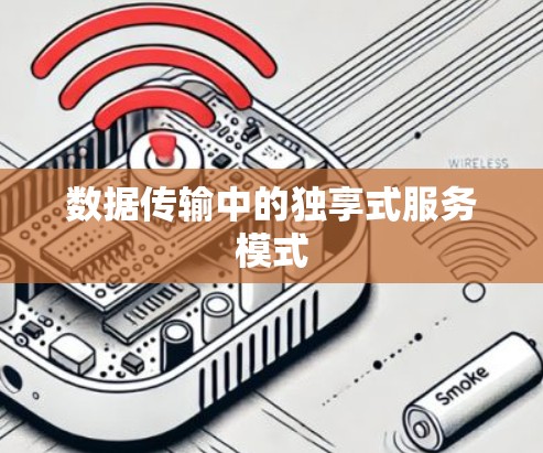 数据传输中的独享式服务模式