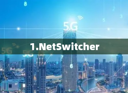 1.NetSwitcher