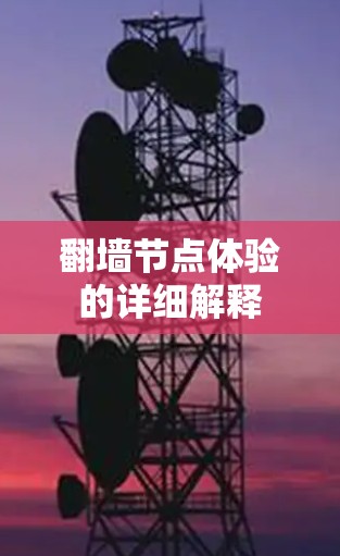 翻墙节点体验的详细解释 翻墙节点体验的详细解释