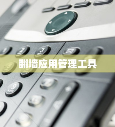 翻墙应用管理工具 翻墙应用管理工具