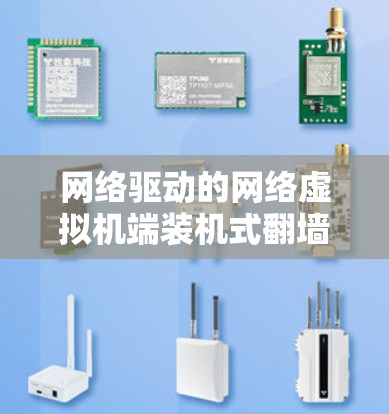 网络驱动的网络虚拟机端装机式翻墙软件 网络驱动的网络虚拟机端装机式翻墙软件