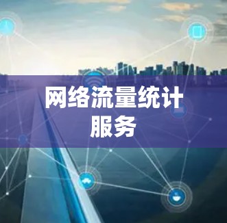 网络流量统计服务