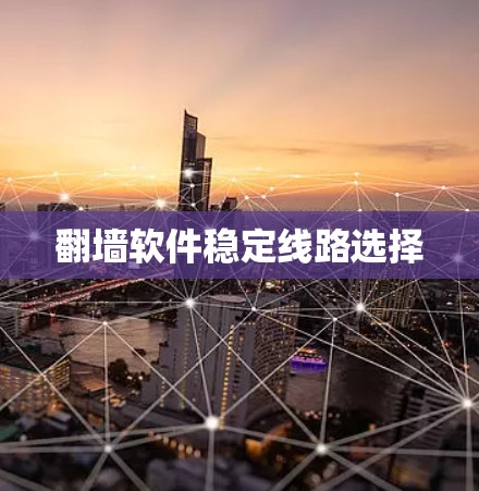 翻墙软件稳定线路选择 翻墙软件稳定线路选择