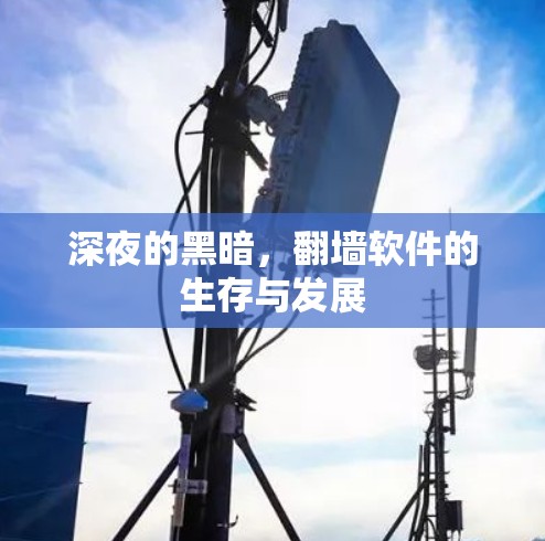 深夜的黑暗,翻墙软件的生存与发展 深夜的黑暗,翻墙软件的生存与发展